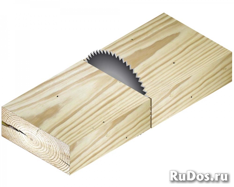 Станок торцовочный маятниковый ЦТ-450 изображение 4