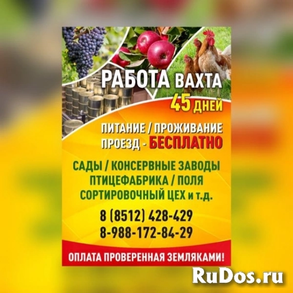 Требуются разнорабочие фото