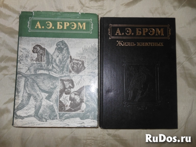 Энциклопедии для детей и взрослых изображение 3