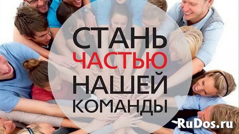 Фасовщики корма для кошек / Работа с проживанием фотка