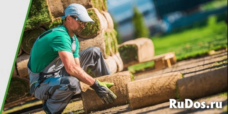 Укладка рулонного газона в Москве и области, цена под ключ за м2 фото