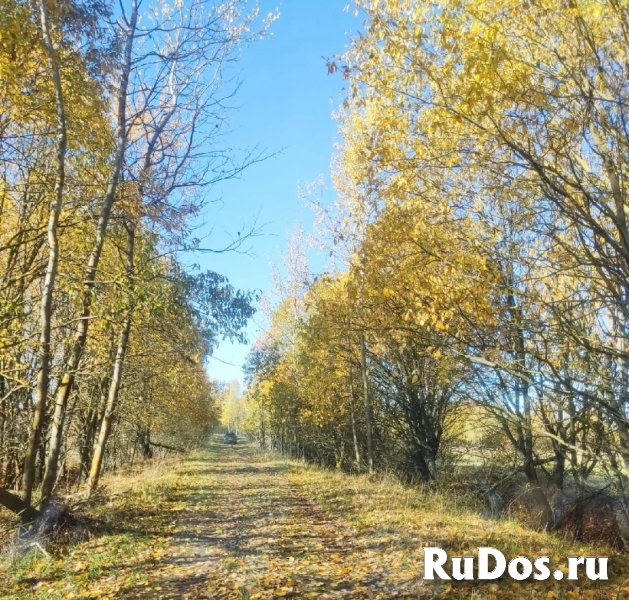 Земельный участок 2га под фермерское хозяйство. фотка