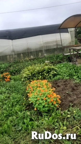 Продам участок 6.12 сот. фотка