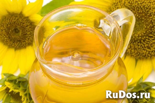 Производство растительных масел изображение 4