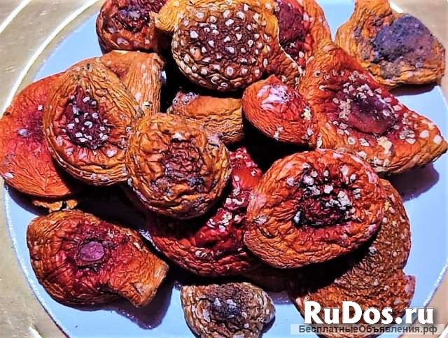 Сушеные мухоморы шляпки изображение 4