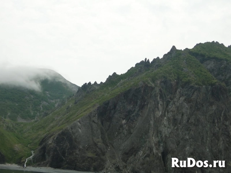 Навстречу китам! Тур по акватории Охотского моря. изображение 11