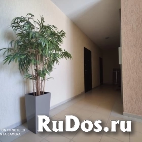 1-комн.квартира в Сочи. изображение 7