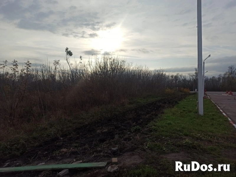 Коммерческий участок в Обоянском районе изображение 5