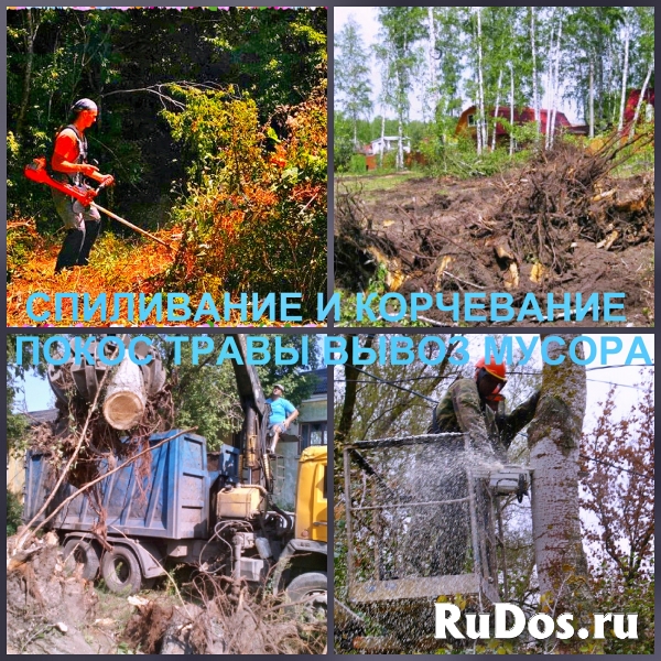 Оказываем услуги благоустройства фотка