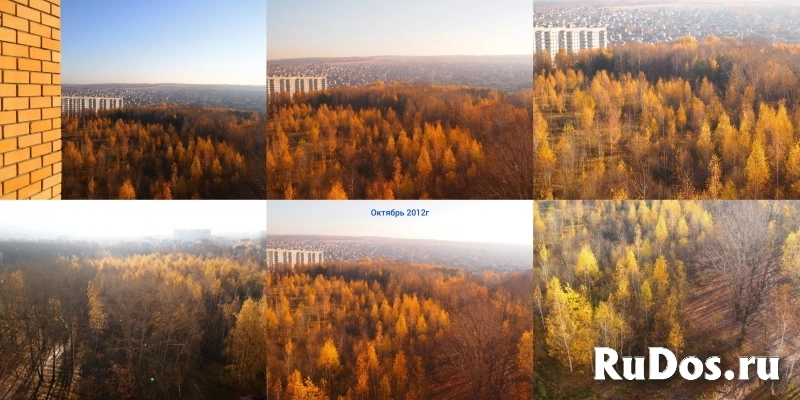 Карачаровская Лес Казани изображение 5