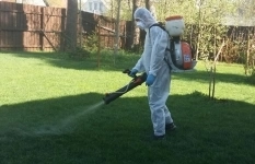 Уничтожение клещей и комаров на участке организация Рузы в объявлении 1 фото Уничтожение клещей и комаров на участке организация Рузы картинка из объявления