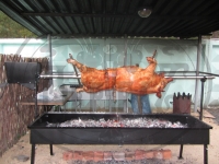 Вертел электрический на мангал ООО ВЕРТЕЛЪ - Производитель картинка из объявления