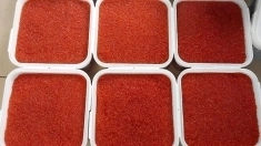 Красная икра. Камчатка картинка из объявления