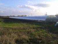 Теплицы ширина 5,25 метра картинка из объявления