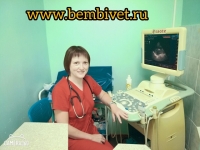 Лечение рептилий. в объявлении 3 фото Лечение рептилий. картинка из объявления