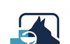 Ветеринарный врач картинка из объявления