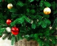 Качественные ёлки с доставкой по Нижнему Новгороду картинка из объявления