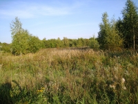 Участок 24 сотки 2,5 км от р. Оки, музея Поленово. в объявлении 6 фото Участок 24 сотки 2,5 км от р. Оки, музея Поленово. картинка из объявления