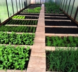 Универсальная земля для клумб и газонов в объявлении 1 фото Универсальная земля для клумб и газонов картинка из объявления