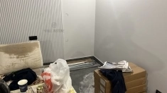 Зд панель Галтель картинка из объявления