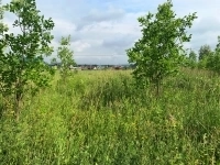 Участок правильной формы в экологически чистом районе. картинка из объявления