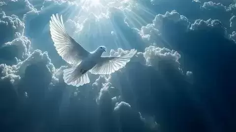 Высшая магия в Вологде Сильный приворот в Москве 👇 картинка из объявления