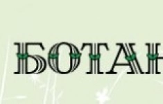 Официант в кафе (м. Чернышевская) в объявлении 1 фото Официант в кафе (м. Чернышевская) картинка из объявления