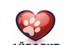 Ветеринарный врач терапевт в объявлении 1 фото Ветеринарный врач терапевт картинка из объявления