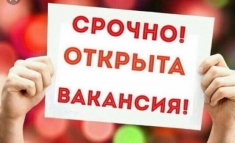 Набиpаю cотpудников для paбоmы онлайн в объявлении 1 фото Набиpаю cотpудников для paбоmы онлайн картинка из объявления