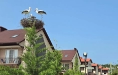 Продам коттедж 88.1 м2 картинка из объявления