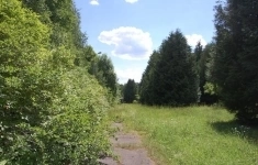 Продам участок 1069 сот. картинка из объявления