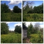 Земельный участок от собственника. Выгодно картинка из объявления