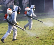 Обработка от сорняка гербицидом в Нововоронеже и в области в объявлении 1 фото Обработка от сорняка гербицидом в Нововоронеже и в области картинка из объявления