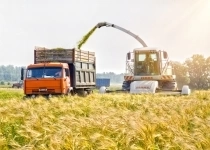 Крупное с/х предприятие приглашает на работу ВОДИТЕЛЯ (КАМАЗ) картинка из объявления