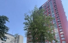 Продам 2 комнатную квартиру 56.2 м2 в объявлении 9 фото Продам 2 комнатную квартиру 56.2 м2 картинка из объявления