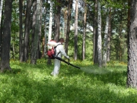 Обработка от клещей комаров и ос дачных участков в Дубне картинка из объявления