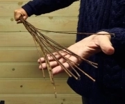 Курс  воспитания и наказания для  семейных пар, женщин, девушек картинка из объявления