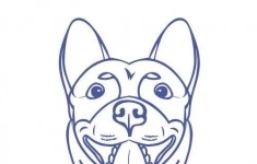 Администратор ветеринарной клиники в объявлении 1 фото Администратор ветеринарной клиники картинка из объявления