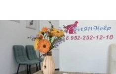 Фельдшер в объявлении 1 фото Фельдшер картинка из объявления