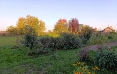 Продам участок 20 сот. картинка из объявления