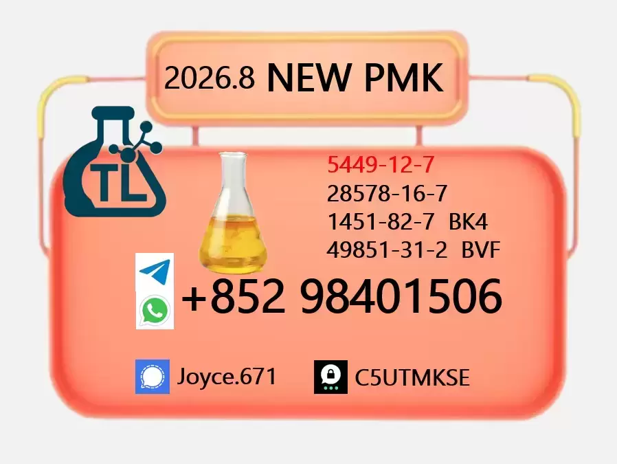 PMK Oil CAS 28578-16-7 | High Purity Bulk Chemical Supplier картинка из объявления