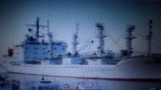 МЕХАНИК МАТРОС ВАКАНСИИ НА РИФЕРЕ ЭЛЕКТРОМЕХАНИК МОТОРИСТ картинка из объявления