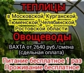 ВАХТА. Требуются Овощеводы в теплицы картинка из объявления