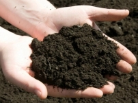 Чернозём в Медовке и по Воронежской области Медовка привезём картинка из объявления