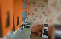 Продам 1 комнатную квартиру 40 м2 картинка из объявления