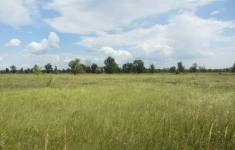 Продам коммерческую недвижимость 4500 сот картинка из объявления