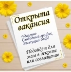 Администратор чата картинка из объявления