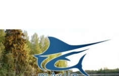 Разнорабочий в объявлении 1 фото Разнорабочий картинка из объявления