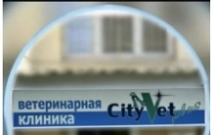 Ассистент ветеринарного врача картинка из объявления