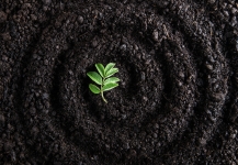 Тофо грунт в мешках по 60 литров в объявлении 1 фото Тофо грунт в мешках по 60 литров картинка из объявления